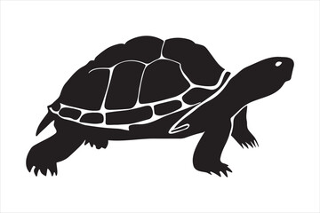 Turtle animal black and white silhouette illustration vector