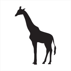 Giraffe animal full black silhouette illustration vector