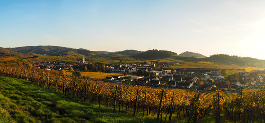 Oberrotweil im Herbst