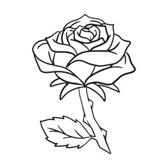 Rose sketch art outline coloring pages for kids illustration