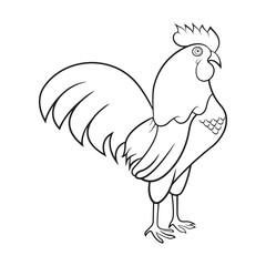Rooster drawing outline coloring page for kids illustration