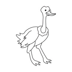 Ostrich drawing outline coloring page for kids illustration
