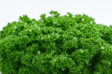 Obraz premium Fresh Green Parsley Leaves Close-Up on White Background