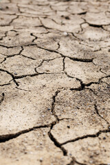 Cracked earth surface during a dry season in a rural landscape