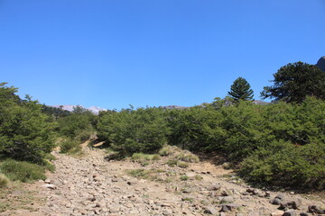 Beautiful landscape of patagonia argentina
