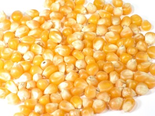 Close-Up of Yellow Popcorn Kernels
