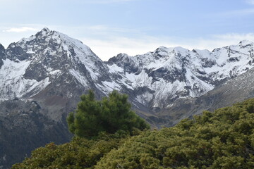 la r&eacute;serve naturelle du N&eacute;ouvielle