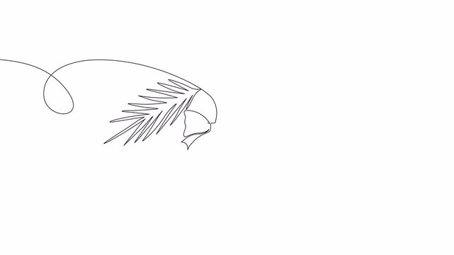Video. Continuous single line drawing of Christmas balloon with bow and pine tree branches for New Year and Christmas greeting card. Animation on white background. 4K.
