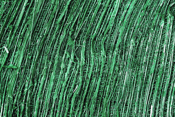 Close up painted Coconut fiber texture background, green dried old coconut coir top view natural...