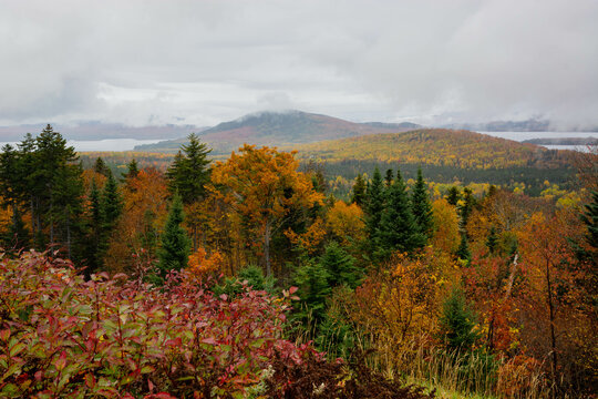 Maine