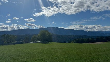 landscape in the summer