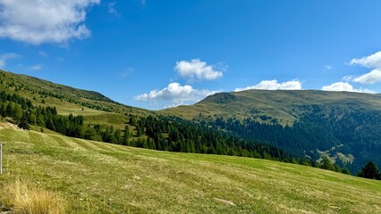 landscape in the summer