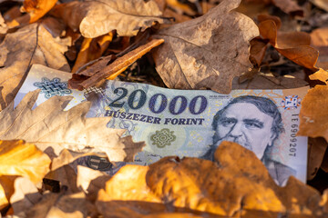 Hungary money. 2000 thousand Hungarian forints lying among fallen dry leaves. Financial business concept. Economic situation of Hungary