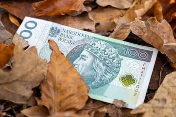 Poland money. 100 zloty banknote lying among fallen dry leaves. Financial business concept. Economic situation of Poland, strength of Polish currency