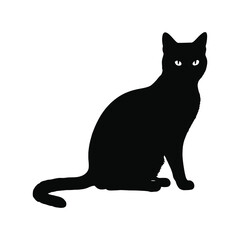 Obraz premium a cat sitting on the ground vector silhouette, black color silhouette
