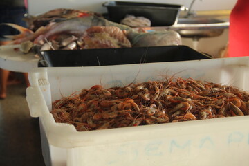 camarão à venda no mercado público em afuá, pará 