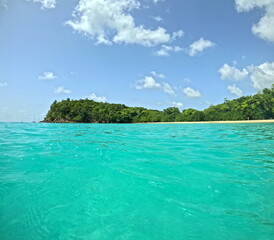 Plage moustique in Marie Galante, Idyllic sunny caribbean beach seen from the sea. Seascape. Vacation in guadeloupe, Lesser antilles with turquoise water and copy space