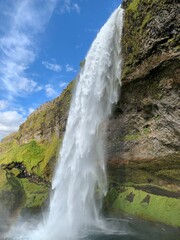 Obraz premium Seljalandsfoss waterfall in Iceland, cascading dramatically over a cliff. The powerful stream of water flows gracefully, framed by lush greenery and a stunning backdrop of rugged landscapes.