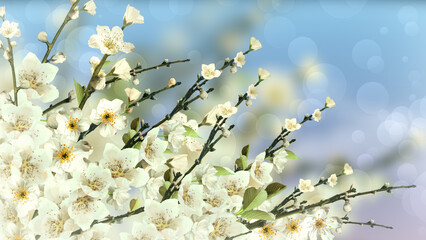 Spring Blossom Background with Cherry Flowers of Pink Color