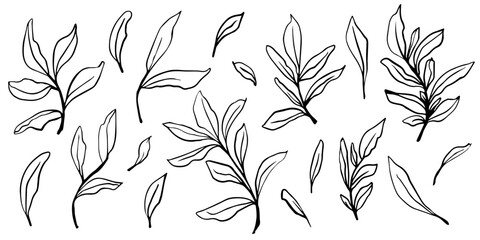 Elegant collection of vector hand drawn leaf outlines in black and white, perfect for minimalist designs, botanical art, DIY crafts, wallpapers, and nature decor, for digital and printable projects
