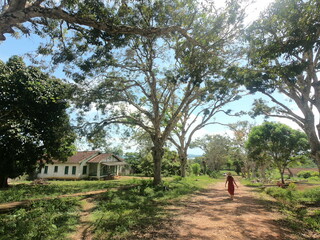 vila americana em fordlândia, pará 
