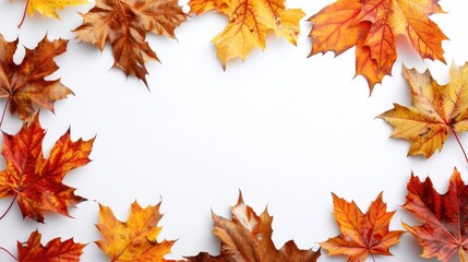 Fototapeta premium Autumn leaves on a blank white background for text.