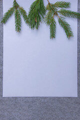 Fresh green pine branches resting on blank white paper against a soft gray background, inviting...