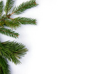 Obraz premium Freshly cut evergreen branches arranged on a white background, perfect for holiday decorations and winter crafts