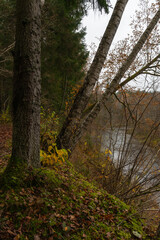  Latvia. Amata nature trail in autumn.