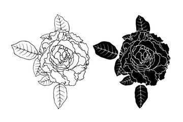 Botanical sketch, stamp, rose flower silhouette. Vector graphics.
