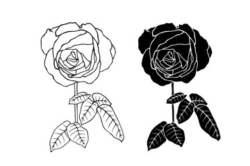 Botanical sketch, stamp, rose flower silhouette. Vector graphics.