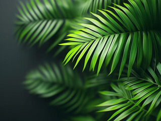 Obraz premium Vibrant green palm leaves layered artfully on a dark background creating a tropical ambiance in a serene indoor space