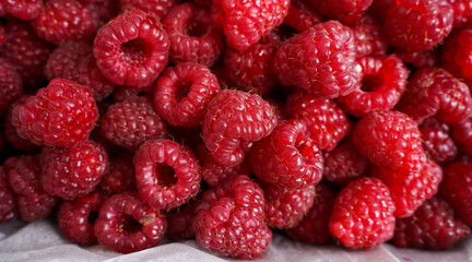 Raspberry fresh berries closeup. Ripe fresh organic red raspberries as background. Harvest concept.   