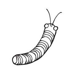 Coloring page of a beetle, bug. Insect outline vector, icon. Hand drawn doodle style, Isolated black line on white.