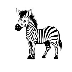 zebra illustration