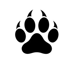 paw print illustration