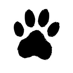 cat paw print © Kesy