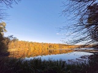 Lütauer See mit einrahmenden Zweigen