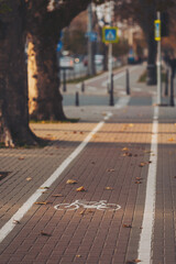 Bicycle and pedestrian path. The bicycle lane symbol indicated the road for bicycles. Road sign on asphalt for the ride cyclists and fallen autumn leaves