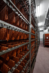 Production of sausages - smoking and maturing process - meat industry