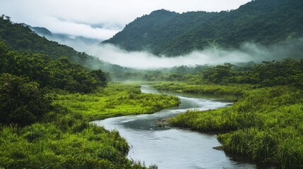 Serene river valley with lush green vegetation and a meandering stream, surrounded by distant hills and fog