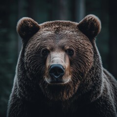 Serene wild forest landscape in autumn with golden leaves and mist covering mountains