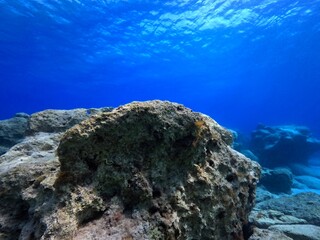 Shallow rocks and seascape in the vivid blue ocean. Undersea empty calm landscape, adventure scuba diving. Seabed with stones, underwater photography from scuba diving.