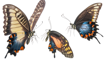Set of Colorful Butterflies Isolated on a Transparent Background Generative AI