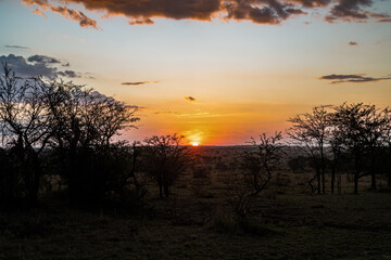 Abends im Mara Kati Kati Camp