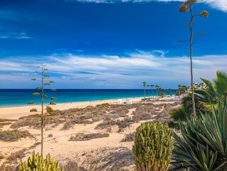Aerial drone view of Costa Calma beach during the sunset,Fuerteventura, Canary Islands