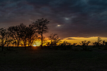 Morgens im Mara Kati Kati Camp