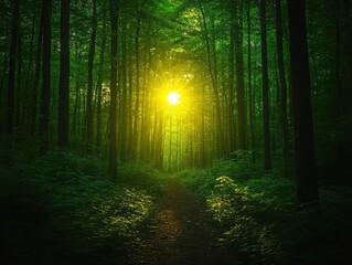 Obraz premium A serene forest bathed in lush green hues, with sunlight filtering through the tall trees, creating a peaceful, almost mystical atmosphere.