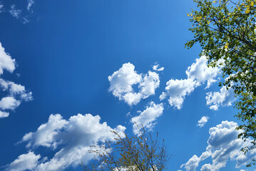 On a bright sunny day, the blue sky with a heart-shaped cloud