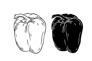 Line sketch, stamp, stencil of sweet pepper vegetables. Vector graphics.